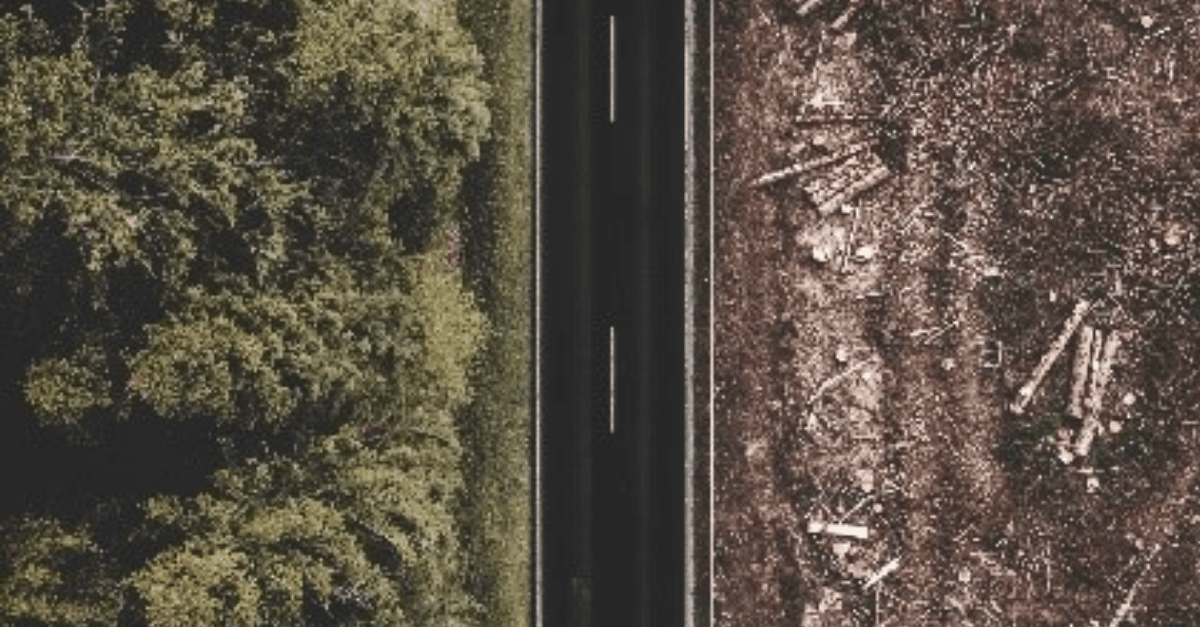 Sustainability oder wie retten wir die Welt?
